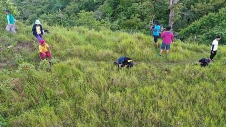 Antique Targets 2K Trees Planted In ‘Pista Kang Kagubatan’