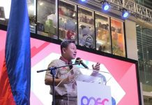 DepEd Chief Underscores Life-Saving, Survival Skills Through Scouting