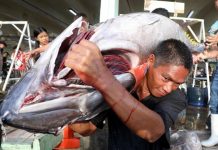 Philippine Tuna Catch Hits Over 230K Metric Tons In 2025