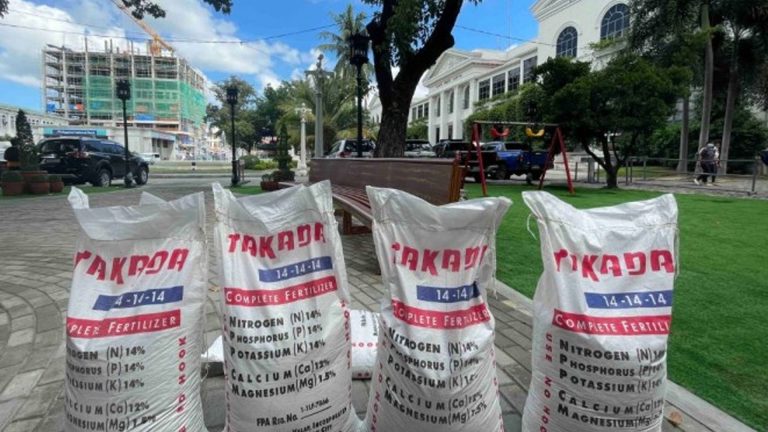 Pagudpud Rice Farmers Get Fertilizer Aid