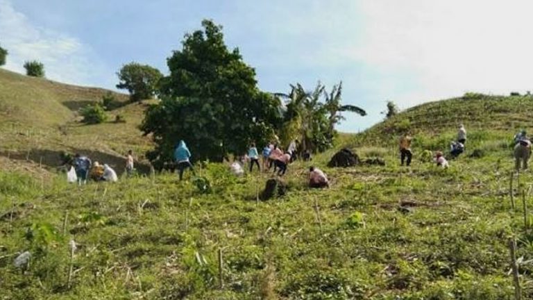 Over 10K Trees Planted In Iloilo Province To Mark Arbor Day