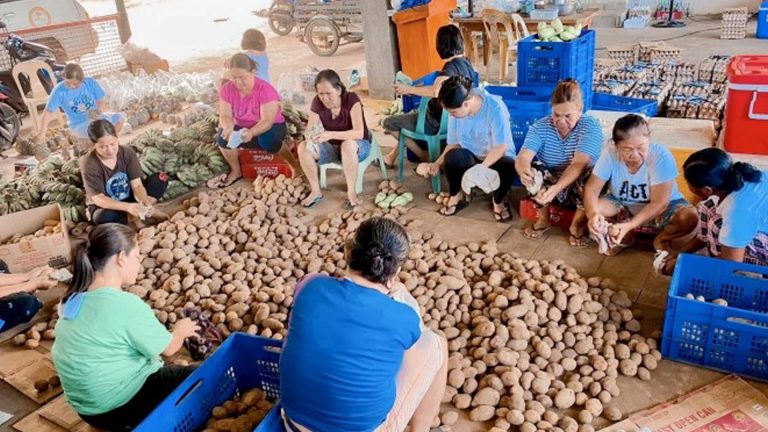 Ilocos Norte Coop Earns National PAHP Award For Feeding 3.5K Children