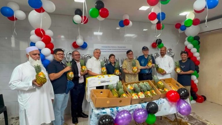 Philippines Premium Pineapple Reaches Middle East Markets