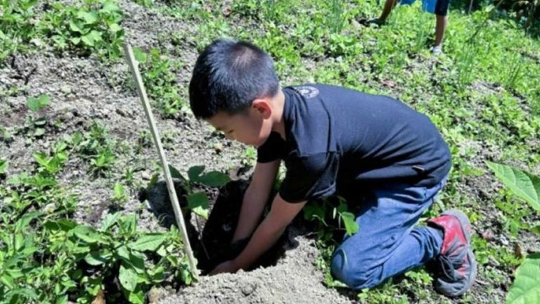 DENR Ensures Long-Term Survival Of 4.2M Saplings Planted On Arbor Day