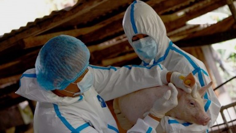 Lawmaker Backs Philippine Animal Vaccine Development Program
