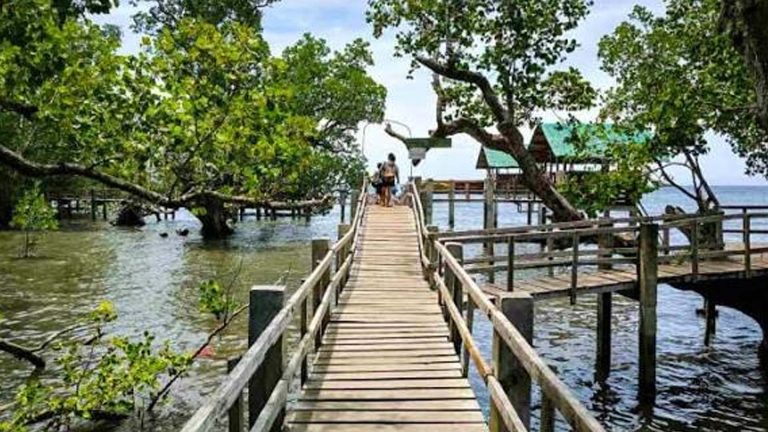 DENR Adopts Global Nature-Based Solutions To Cut Disaster Risks