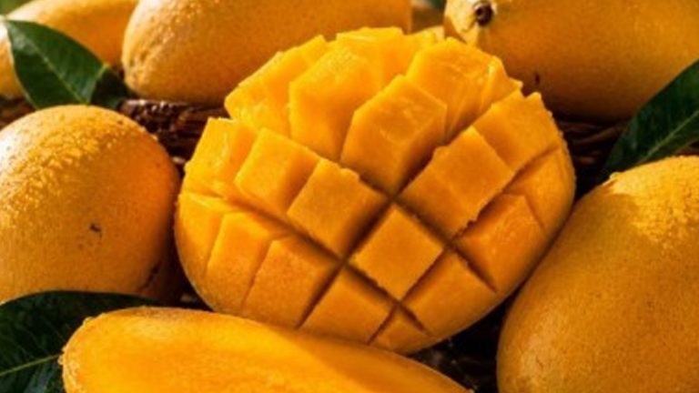 Davao To Host 2nd Mindanao Mango Congress In August