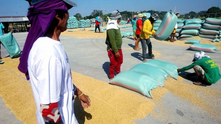 Department Of Agriculture To Complete Largest Drying Facilities Expansion