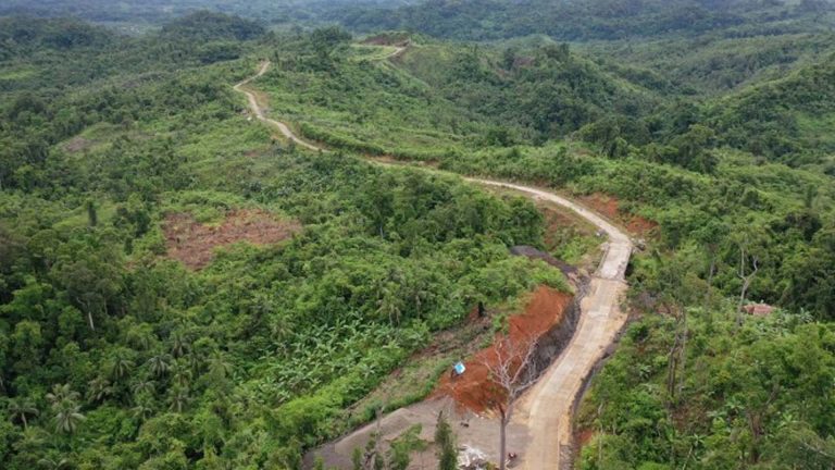 DENR Links With LGUs To Protect New Samar Road, Forest Reserve
