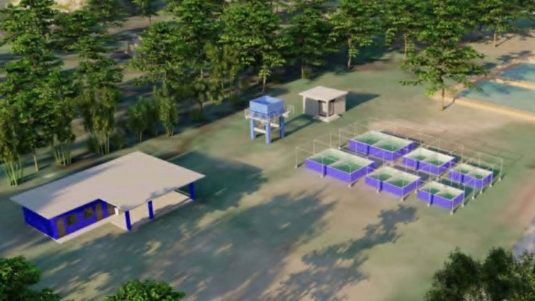 Albay To Build PHP10 Million Hatchery For Food Security, Marine Protection