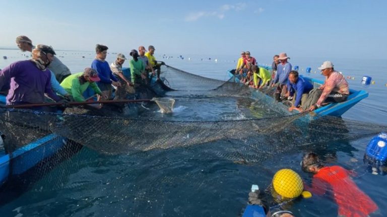 Ilocos Norte Council Oks Creation Of Marine Protected Area Network
