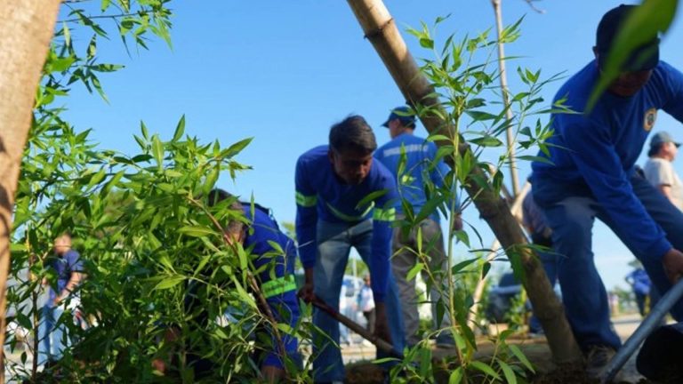 400 Local Trees, 3K Nedra Shrubs Planting At Pangasinan Capitol Starts
