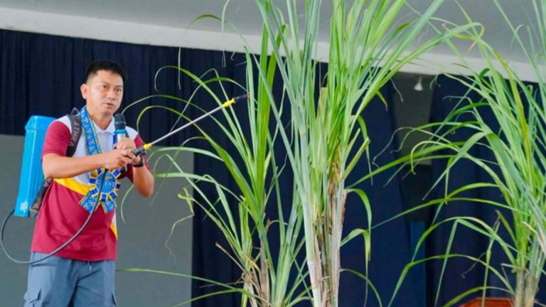 NCPC Aids Negros Occidental Farmers In Sustainable Management Of Sugarcane Pest