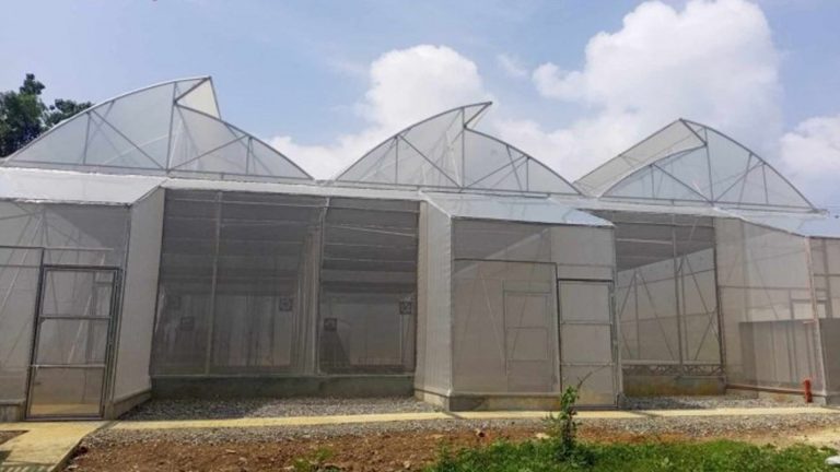 Philippine Reclamation Authority To Roll Out 700 Hydroponics Facilities Nationwide
