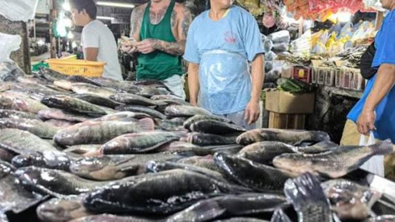 Department Of Agriculture Postpones Entry Of 250K Metric Tons Fish Imports To Last Quarter
