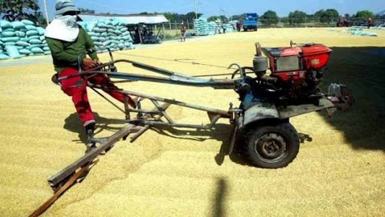 Department Of Agriculture To ‘Double’ Agri Support Ahead Of Severe El Niño