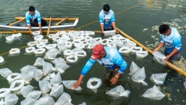 Lawmaker Backs Funding For Student-Led Agri-Aqua Startups