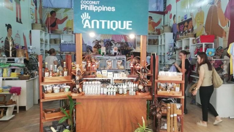 Antique Farmers To Plant 254K Coconut Seedlings