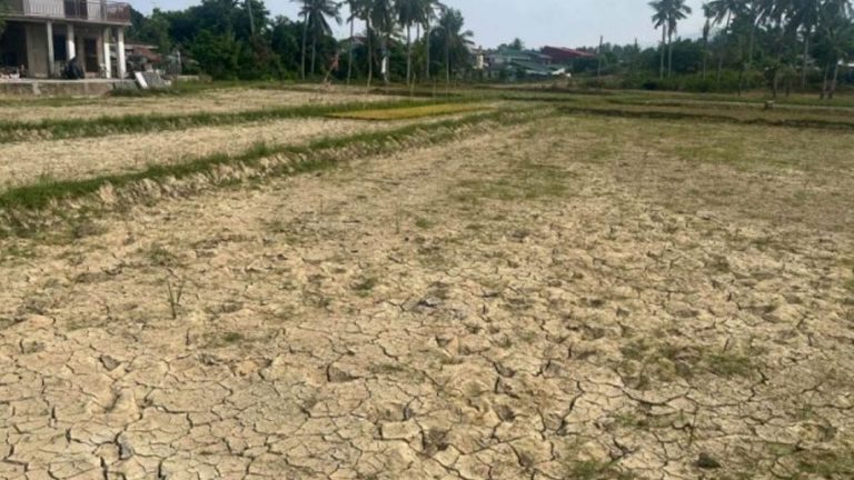 DA Region 8 Readies Measures For 30K Hectares Vulnerable To El Niño