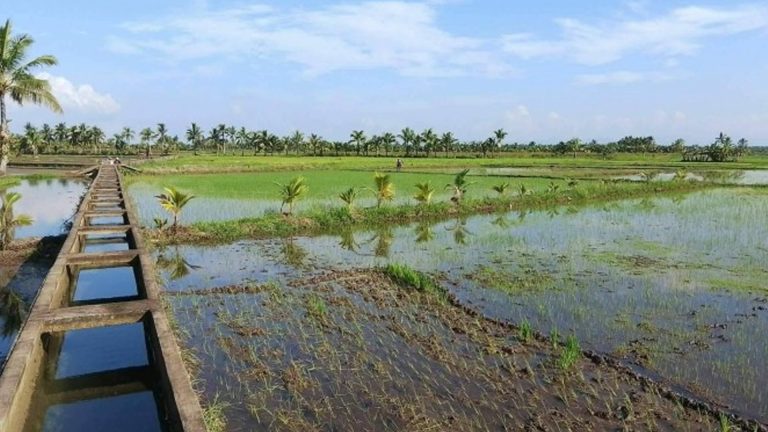 Rains Improve Water Levels Of Irrigation Systems In Eastern Visayas