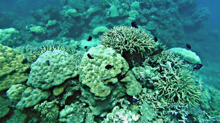 Tourism Stakeholders In Negros, Siquijor Told To Prepare For El Niño