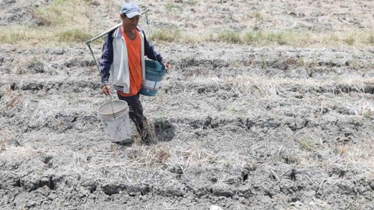 NDRRMC: Agriculture Damage In 10 Regions Due To El Niño Now At PHP6.5 Billion