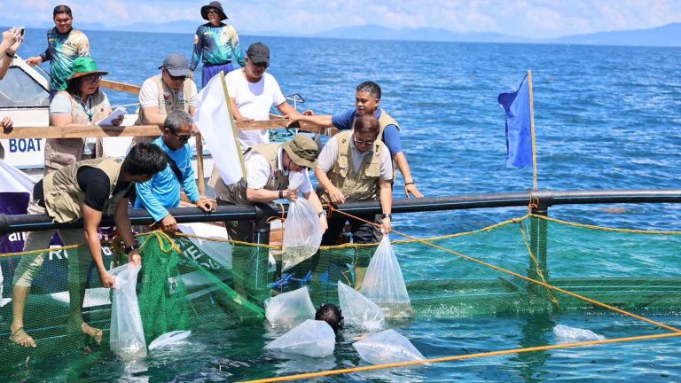 Department Of Agriculture Grants PHP14 Million Fishery, Aquaculture Aid In Sorsogon