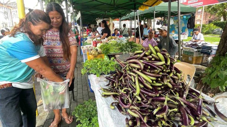 DTI Rolls Out Discount Caravan Anew To Ease High Inflation