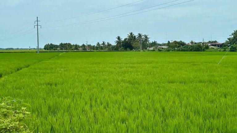 Negros Oriental To Deploy Water Pumps To Combat El Niño