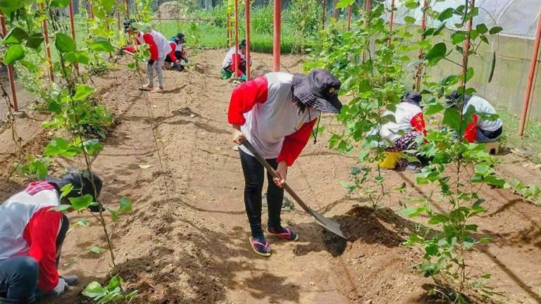 88 Sorsogon Workers Get PHP3.6 Million TUPAD Wages