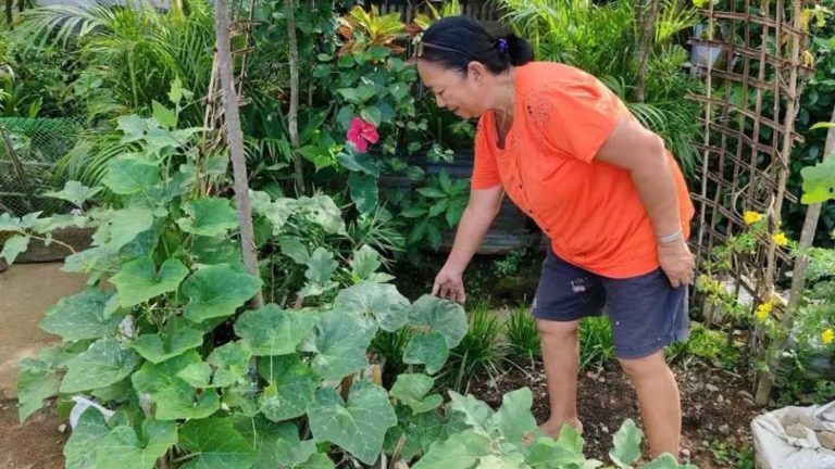 DA-Bicol Grants PHP1.5 Million To Farmers, Promotes Climate-Resilient Farming